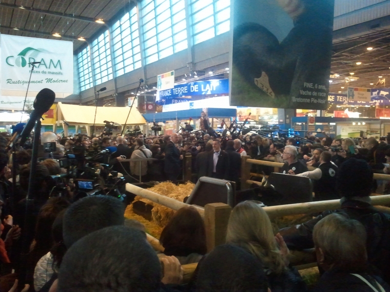 Image 1000000000000A00000007808E02B3F9.jpg